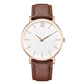 Watch Belt Frosted Watch Watch Ladies Fashion Quartz Watch